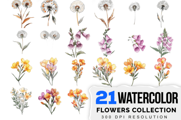 Wedding Watercolor Flower Designs: Elegant Floral Art for Every Project